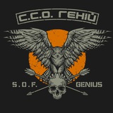 ЦСО “Геній” / DAC “Genius” Logo