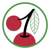 Вишнівський академічний ліцей №1 Logo