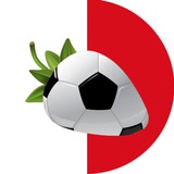 Truskawkowa piłka | Український погляд на польський футбол Logo