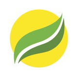 БФ "Рокада" Івано-Франківськ Logo