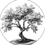 VASYLYSHYN ACADEMY Logo