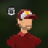 DegenFlipper.ton Logo
