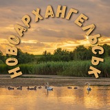 Новоархангельськ Logo