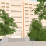STUDRADA 20 Logo
