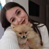 ДЛЯ ТЕБЕ ВІД @vi.ivashina Logo
