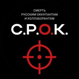 СРОК Logo