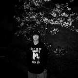 valley of roses. Logo