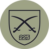 △ 225 ОШП △ Logo