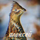 ꑭ ДРГ PER(DIX!) ꑭ Logo