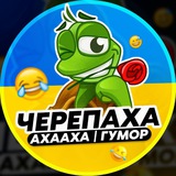 Черепаха Аха-Аха | Гумор Logo