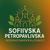 Софіївська Борщагівка NN(NewNews) Logo