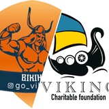 ГО «Вікінг м.Кривий Ріг» БФ🇺🇦 Logo