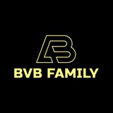 BVB FAMILY | Боруссия Дортмунд 🐝 Logo