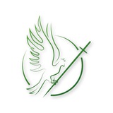 Новий Чернігів Телеканал Logo