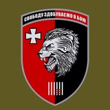 63 бригада | СТАЛЕВІ ЛЕВИ Logo