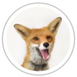 Nixie_fox Logo