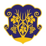 Ужгородська міська рада. Офіційна сторінка Logo
