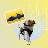 НМТ 2026. Історія України Logo