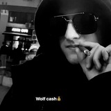 Wolf cash 💰 Logo