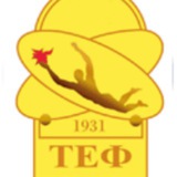 НН ІАТЕ(ТЕФ) Офіційний канал Logo