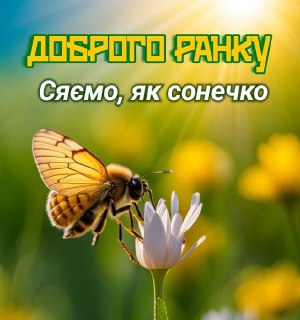 Channel Logo