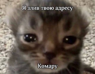 Channel Logo