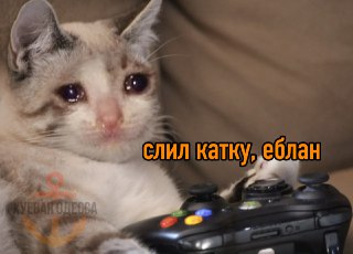 Channel Logo