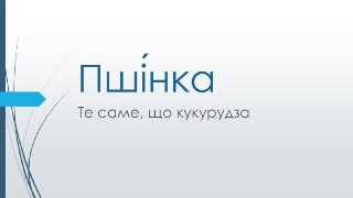 Channel Logo