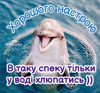 Channel Logo
