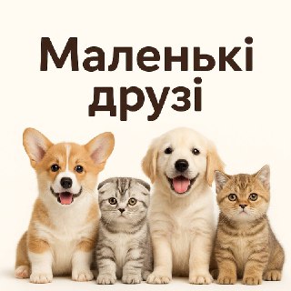 Channel Logo